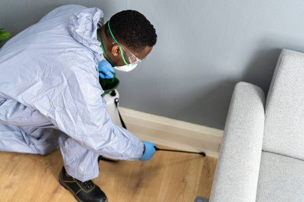 Best Fumigation Services  in Suamico, WI